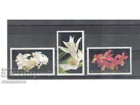 North Korea - Flowers