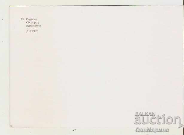 Felicitare Bulgaria Culesul Trandafirilor 1* cu preț 0.90 BGN | € 0.46