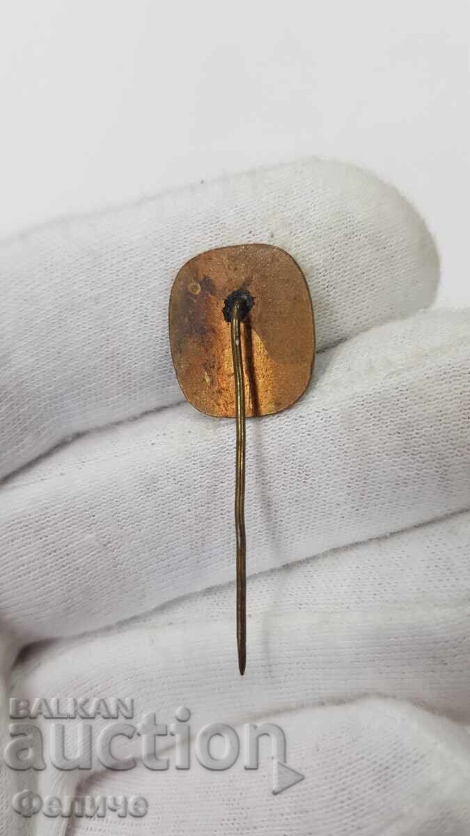 Δημοπρασία Κομμουνιστικό σήμα, κονκάρδα με τον Χρήστο Μπότεφ 1848-1948