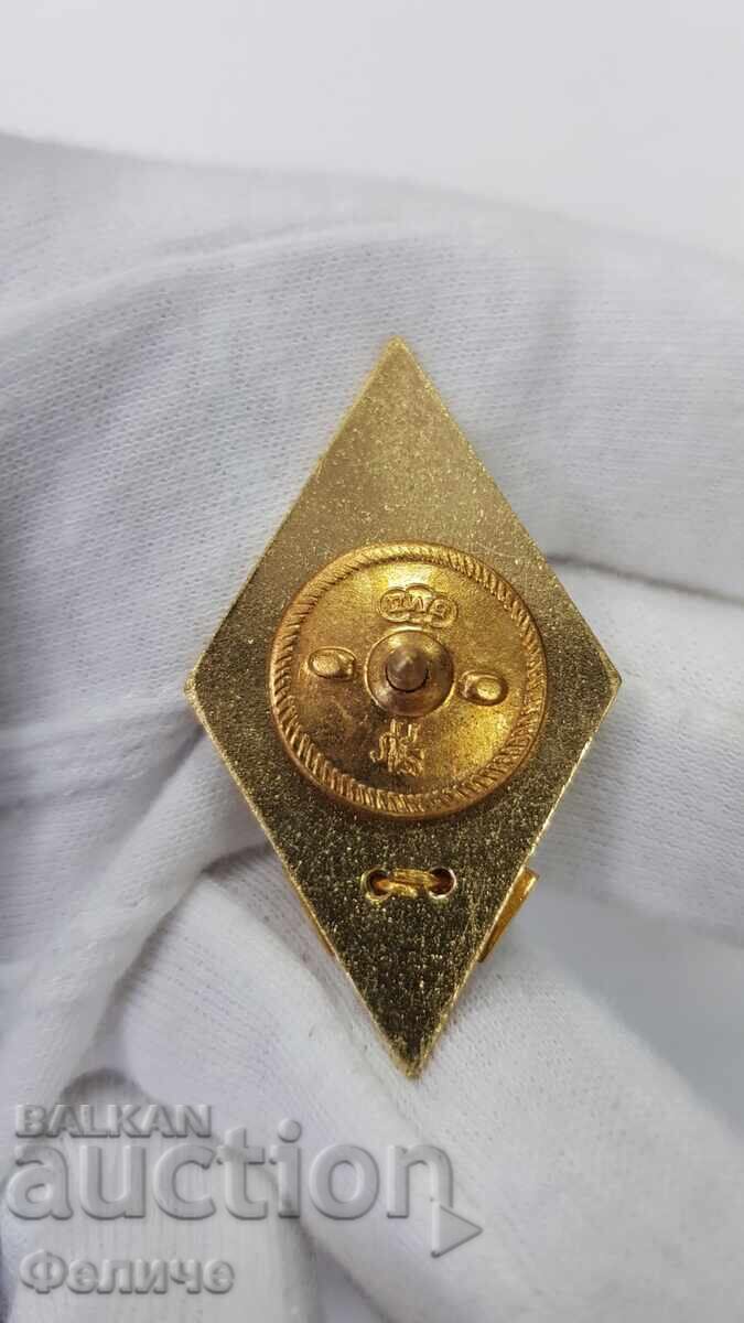 Livrarea Semn comunist rar, insignă MAI, Rombo