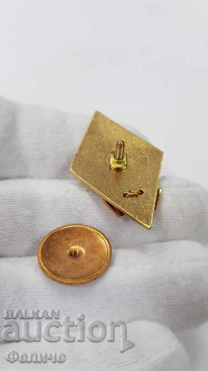 Semn comunist rar, insignă MAI, Rombo - 5