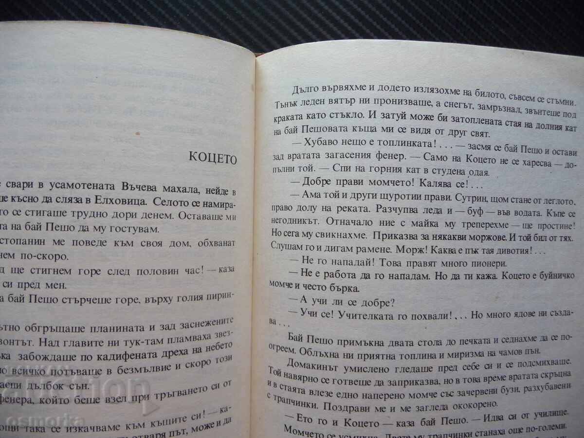 Δημοπρασία Το αγόρι πάει σχολείο Χρίστο Στόικοφ μαθητής φίλοι Δημοπρασία Το αγόρι πάει σχολείο Χρίστο Στόικοφ μαθητής φίλοι