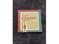 ΟΧΙ Β. Τύρνοβο αφιερωμένη στον Λένιν 1980