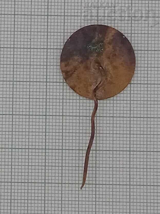 Δημοπρασία ΚΟΣΜΟΣ ΣΠΟΥΤΝΙΚ ΤΣΕΧΟΣΛΟΒΑΚΙΑ 1971 ΕΜΑΓΙΕ ΣΗΜΑ