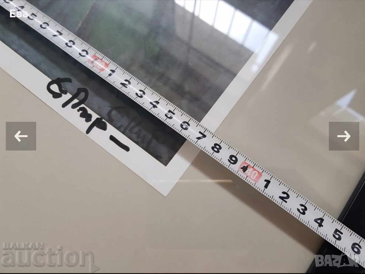 Έγχρωμη αναπαραγωγή Encho Pironkov υπογεγραμμένη προσωπικά από τον συγγραφέα - 6