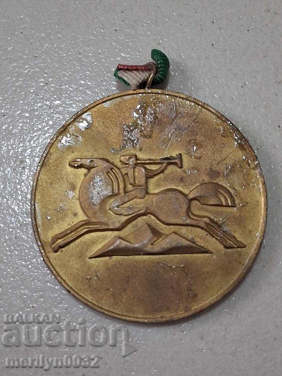 Бронзов плакет, медал, знак - НРБ
