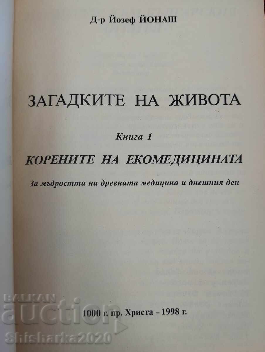 Licitație Misterele vieții