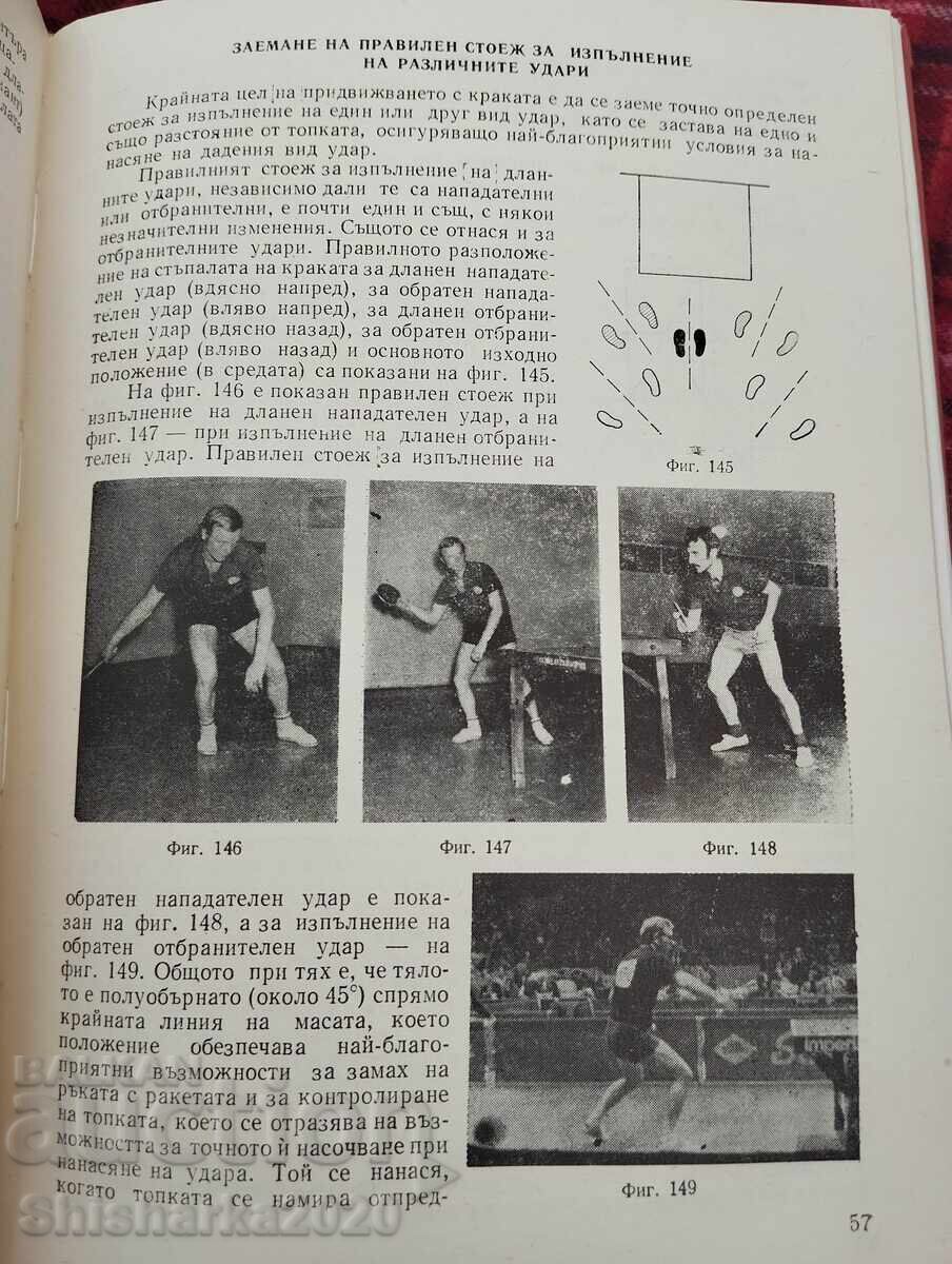 Auction  Table Tennis Exercise Guide