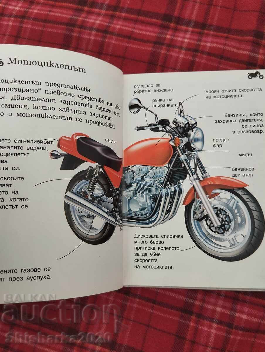 Licitație Eu călătoresc