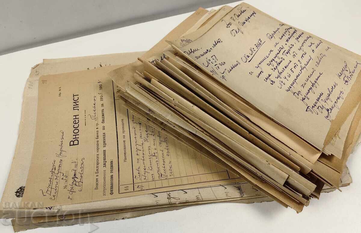 1924 ХИГИЕНИЧЕСКИ СЪВЕТ ПЛЕВЕН ЛОТ 130БР. ДОКУМЕНТИ РЗИ ХЕИ