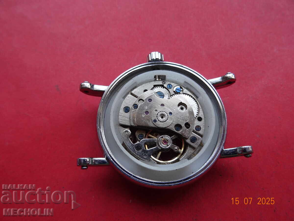 Livrarea Ceas schelet de colecție 1