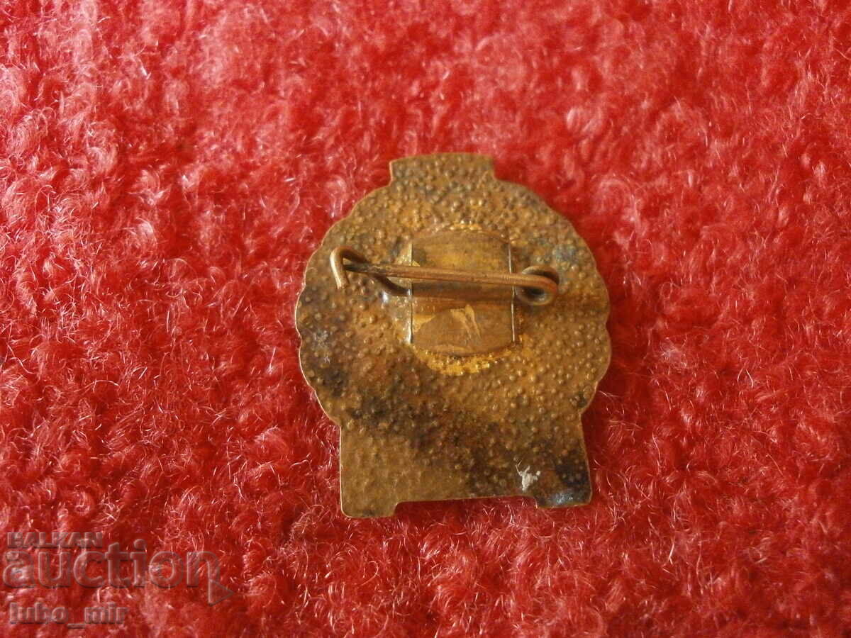 OLD BADGE with price 3.00 BGN | € 1.53