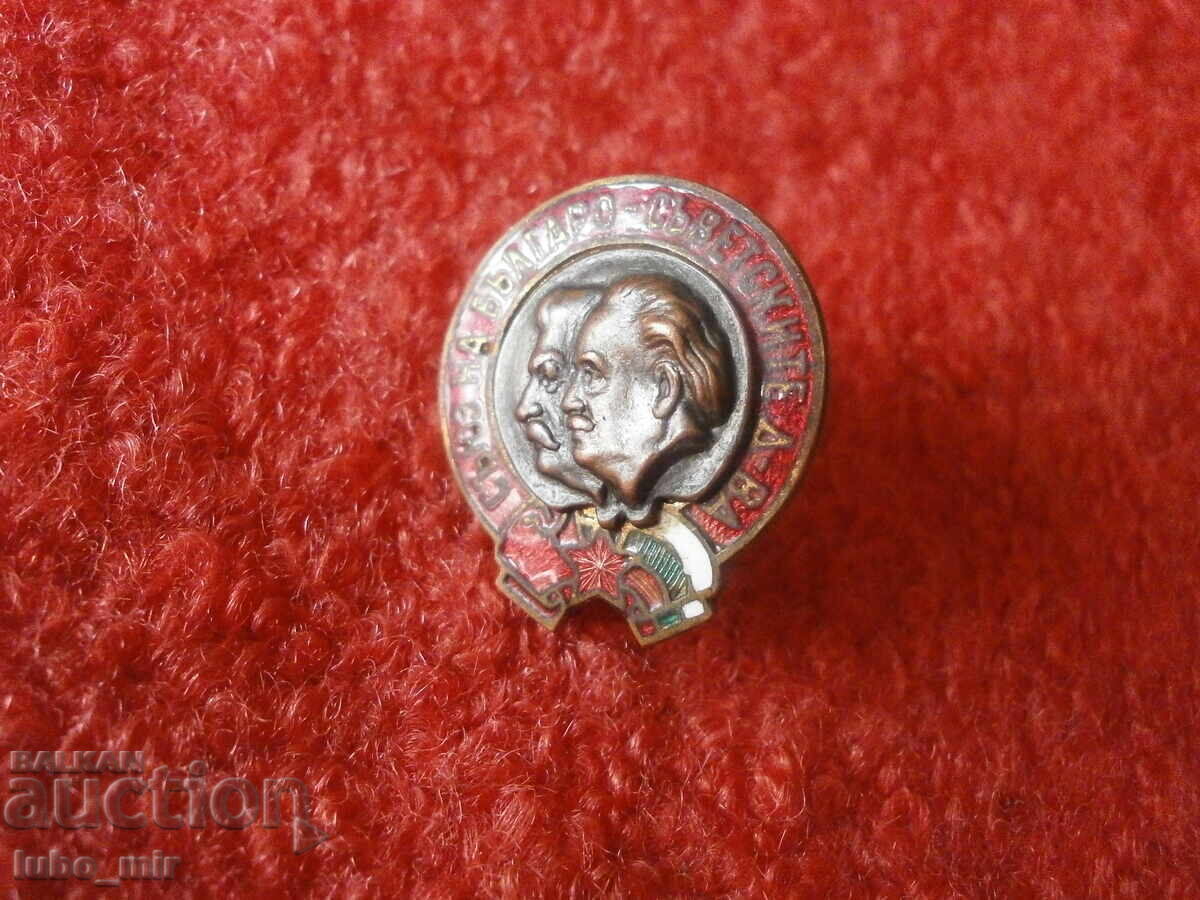 Licitație INSIGNĂ VECHE PE ȘURUB - SOCIALISTĂ - EMAIL