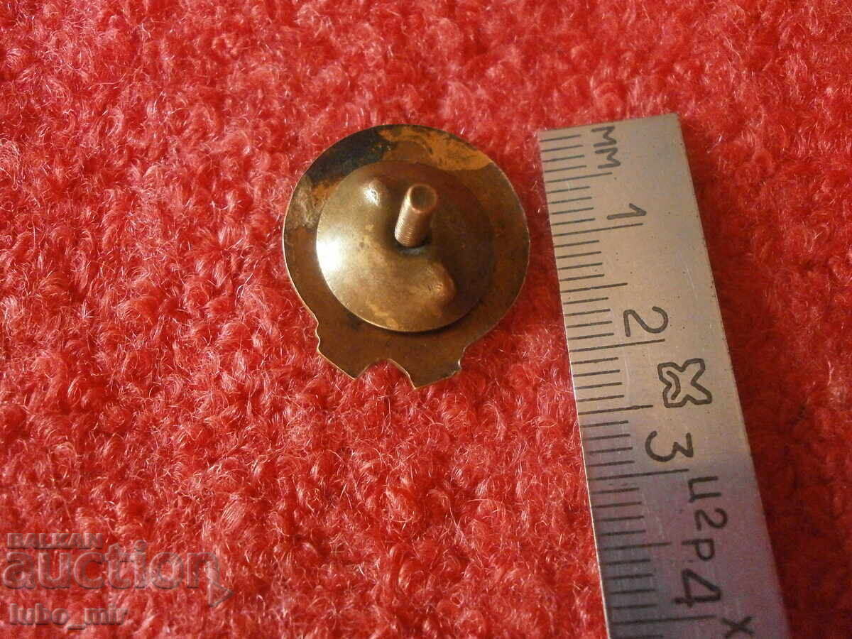 Доставка на СТАРА ЗНАЧКА НА ВИНТ - СОЦ - ЕМАЙЛ Доставка на СТАРА ЗНАЧКА НА ВИНТ - СОЦ - ЕМАЙЛ