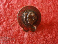 INSIGNĂ VECHE PE ȘURUB - SOCIALISTĂ - EMAIL