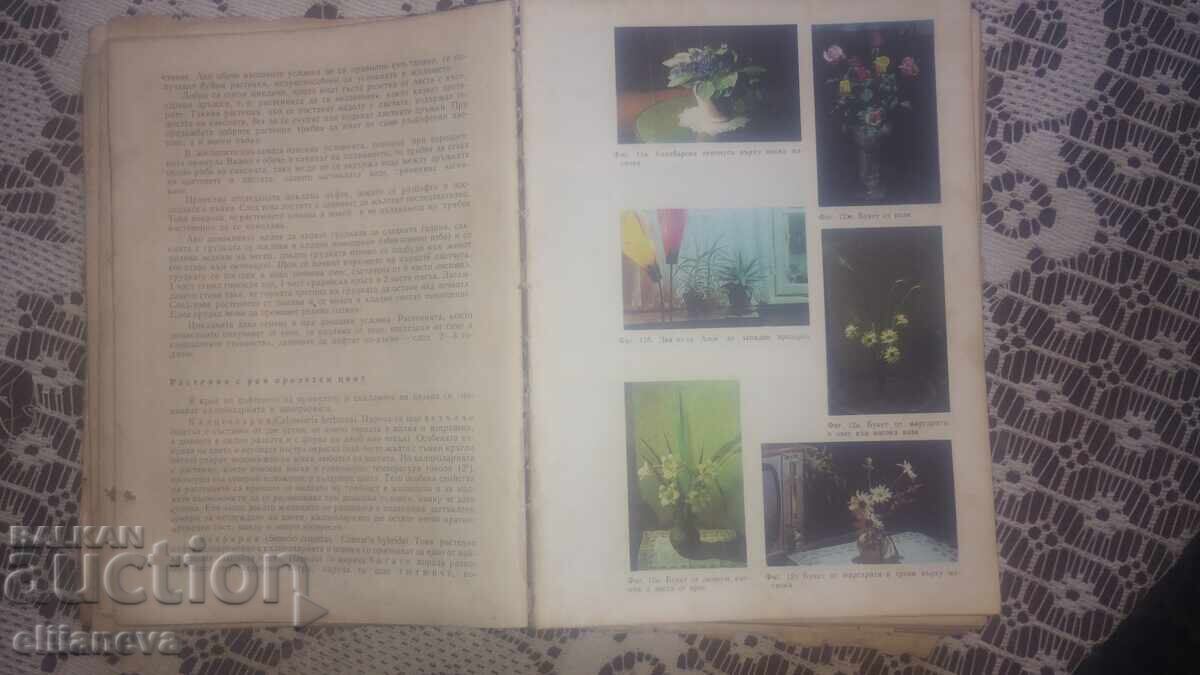 Book for every day and every home 1970 with price 20.00 BGN | € 10.23