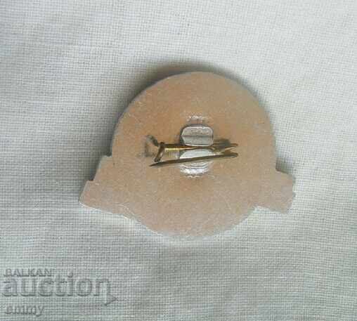 DKMS Badge - Reporting and Election Conference, Blagoevgrad Region with price 2.50 BGN | € 1.28