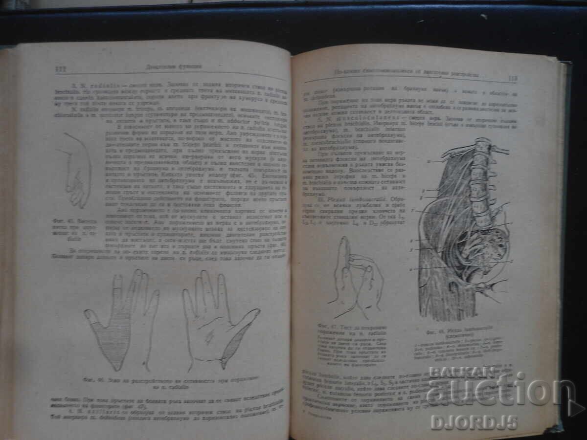 Практическо ръководство по неврология с цена 10.00 лв. | € 5.11 Практическо ръководство по неврология с цена 10.00 лв. | € 5.11