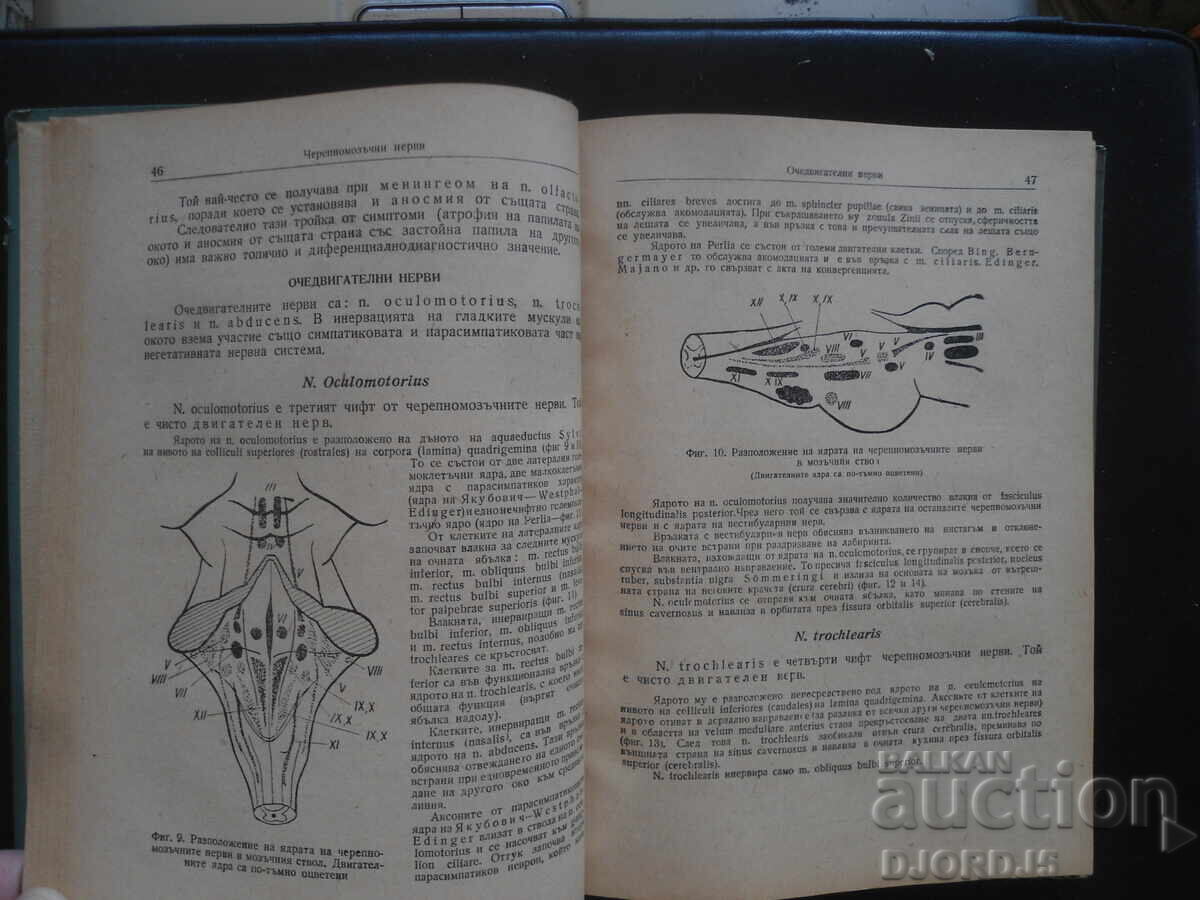 Доставка на Практическо ръководство по неврология Доставка на Практическо ръководство по неврология