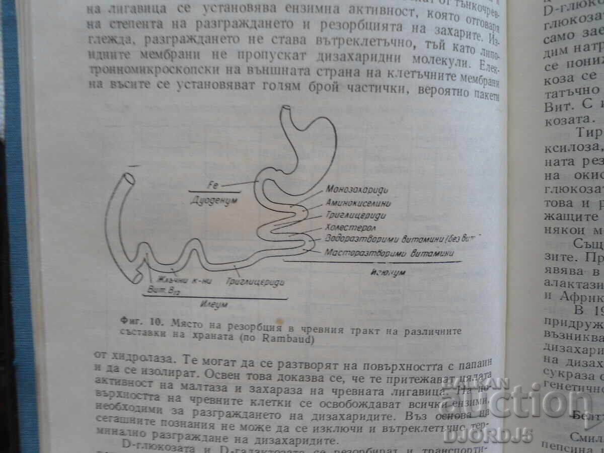 Κλινικο-βιοχημικό προφίλ εσωτερικών παθήσεων - 7