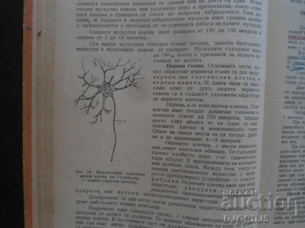 Δημοπρασία Εφαρμοσμένη Ζωολογία