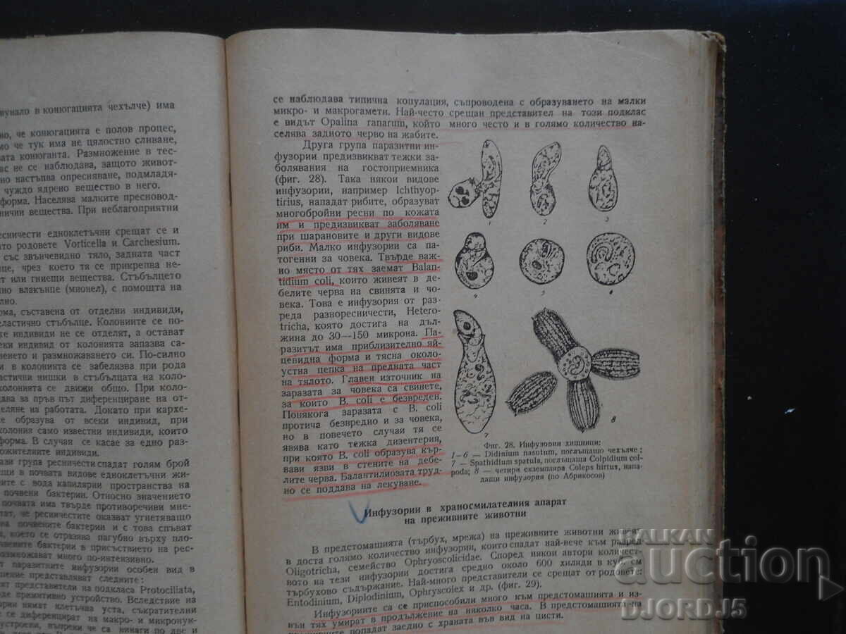 Εφαρμοσμένη Ζωολογία - 6