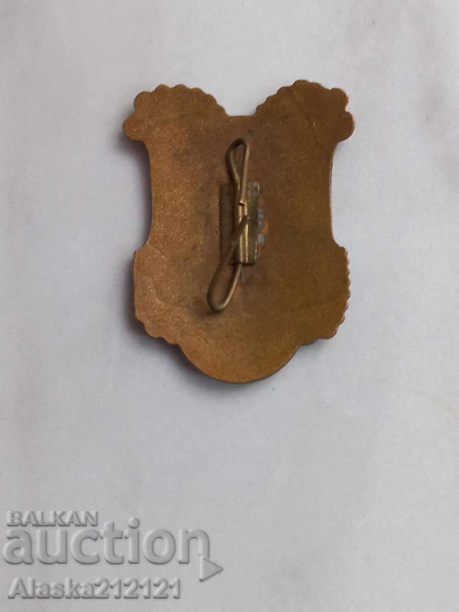 Badge - Coat of Arms of the City of Peuerbach Austria - enamel with price 15.00 BGN | € 7.67