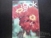 Calendar vechi, 1975