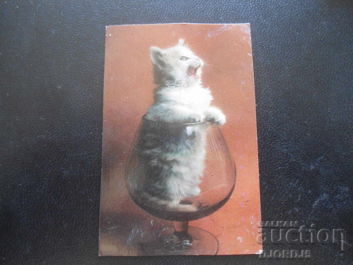 Παλαιό ημερολόγιο, 1985