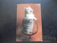 Calendar vechi, 1985