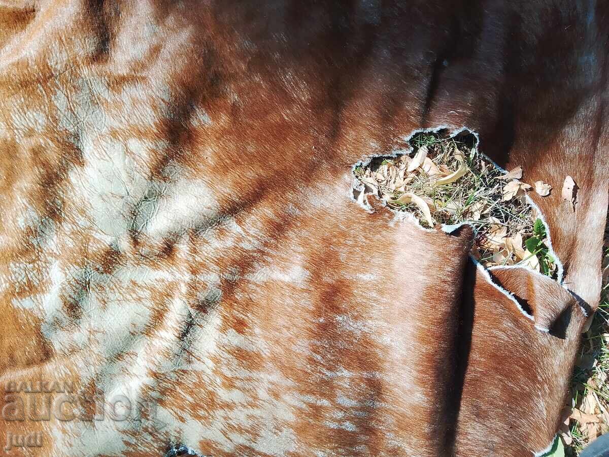 Страхотна конска кожа - 6