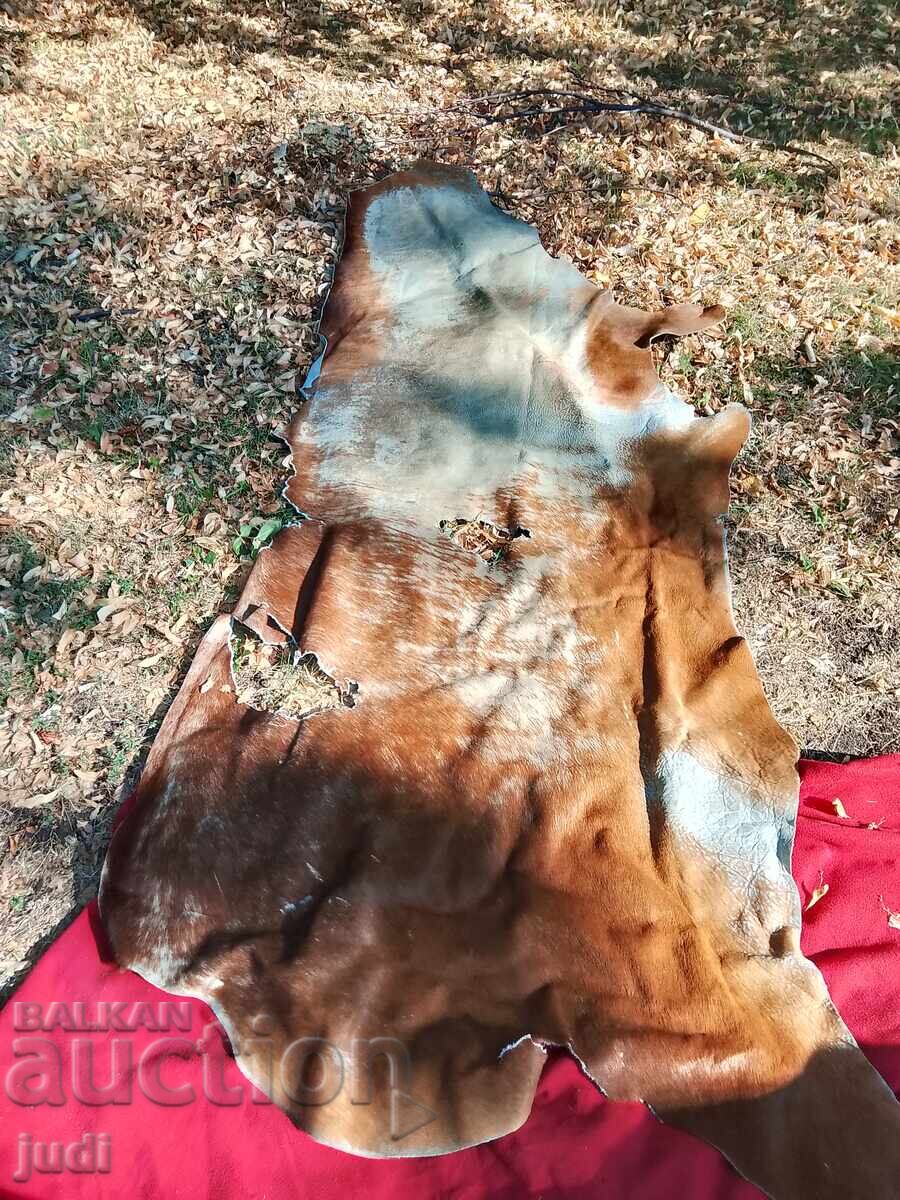 Страхотна конска кожа