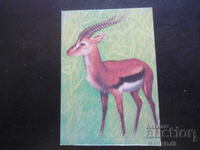 Calendar vechi, 1987