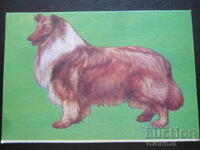 Calendar vechi, 1987