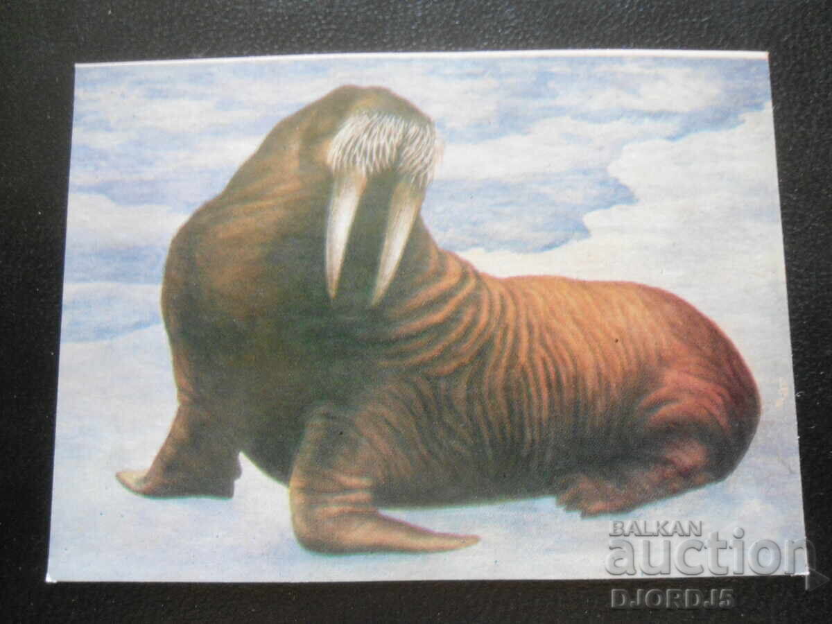 Calendar vechi, 1987