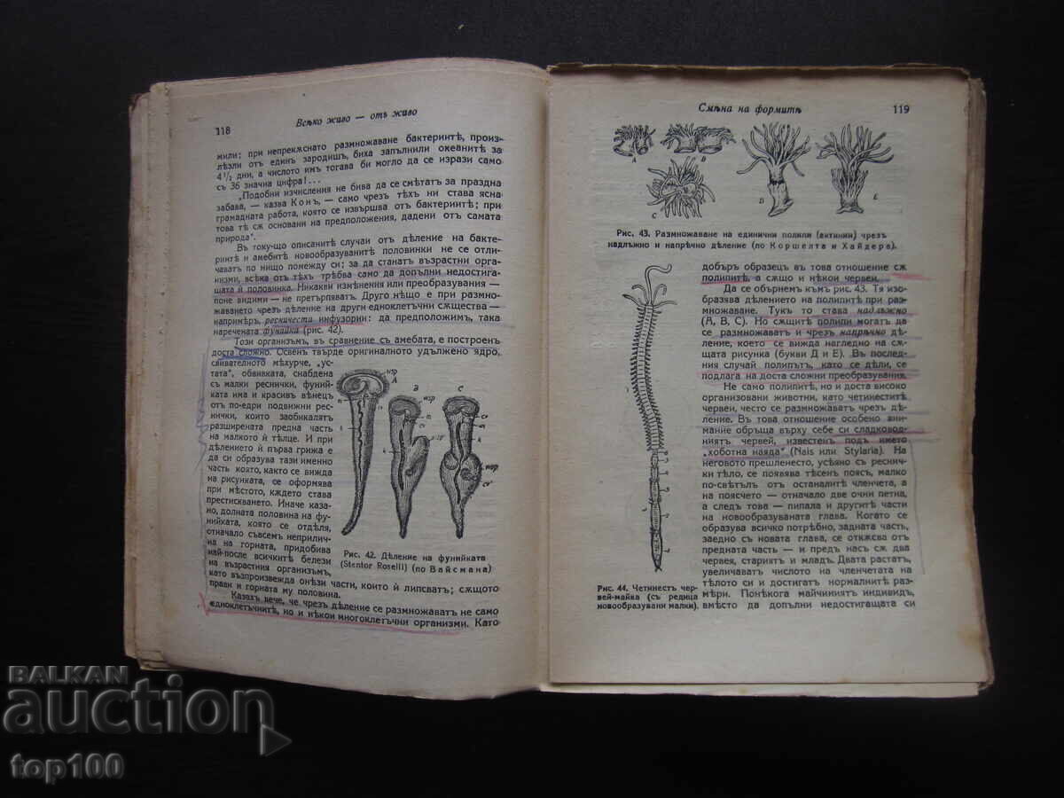 Licitație FUNDAMENTELE VIEȚII DE PROF. LUNKEVICH 1942 BZTS !!!