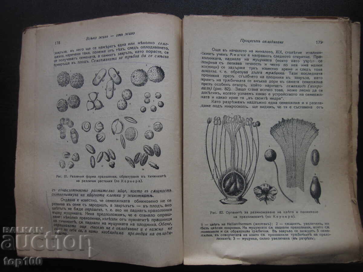 Παράδοση ΘΕΜΕΛΙΑ ΤΗΣ ΖΩΗΣ ΑΠΟ ΚΑΘΗΓΗΤΗ ΛΟΥΝΚΕΒΙΤΣ 1942 ΕΤ. ΒΖΤΣ !!!