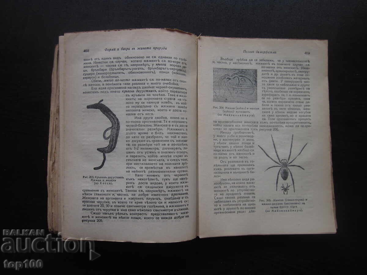 ΘΕΜΕΛΙΑ ΤΗΣ ΖΩΗΣ ΑΠΟ ΚΑΘΗΓΗΤΗ ΛΟΥΝΚΕΒΙΤΣ 1942 ΕΤ. ΒΖΤΣ !!! - 5