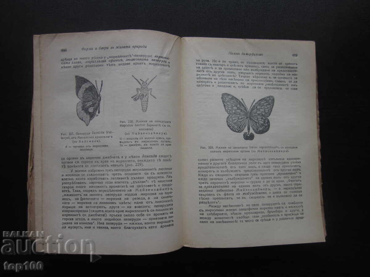 ΘΕΜΕΛΙΑ ΤΗΣ ΖΩΗΣ ΑΠΟ ΚΑΘΗΓΗΤΗ ΛΟΥΝΚΕΒΙΤΣ 1942 ΕΤ. ΒΖΤΣ !!! - 6