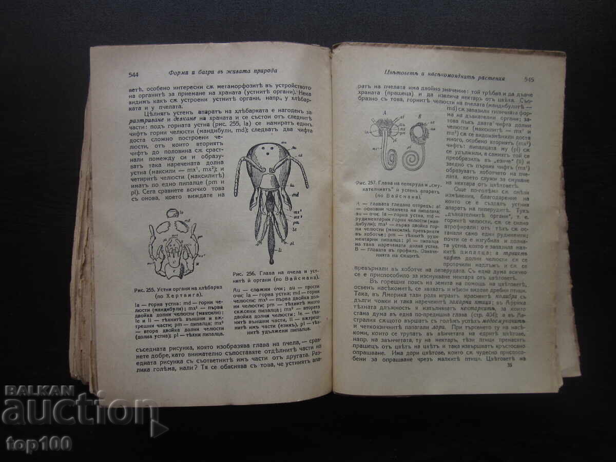 FUNDAMENTELE VIEȚII DE PROF. LUNKEVICH 1942 BZTS !!! - 7