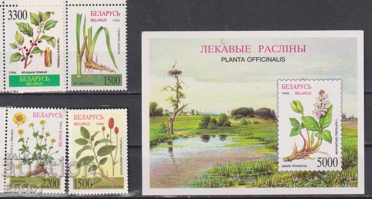 Καθαρές γραμματόσημες και μπλοκ Φυτά Φαρμακευτικά Βότανα 1996 Λευκορωσία