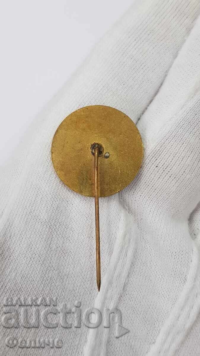 Delivery of Rare badge, "WORLD PEACE COUNCIL" LYUDMILA ZHIVKOVA Delivery of Rare badge, "WORLD PEACE COUNCIL" LYUDMILA ZHIVKOVA