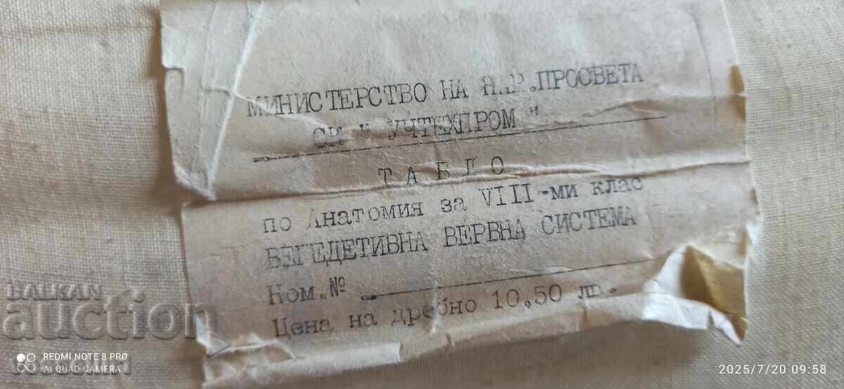 Delivery of Old educational textile board vegetative nervous system