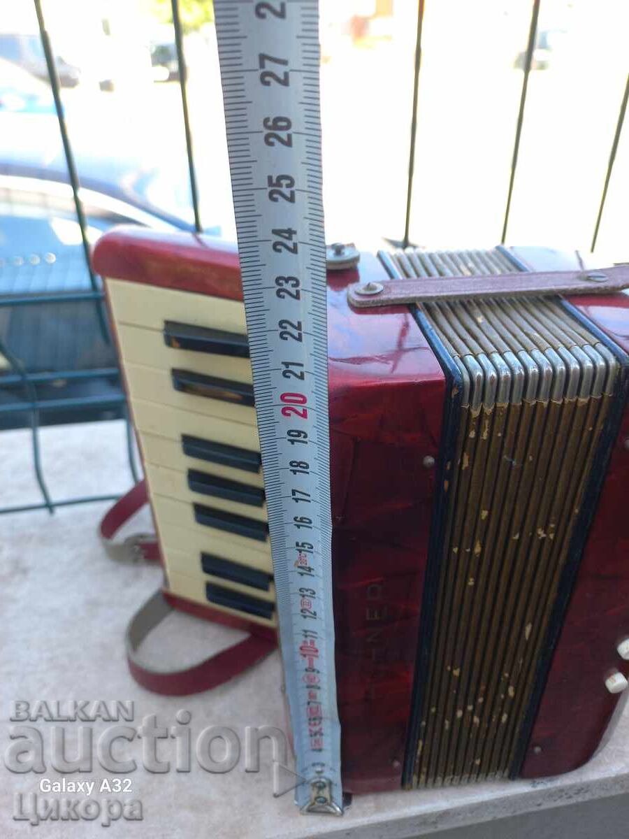 Livrarea ACORDEON MIC HOHNER