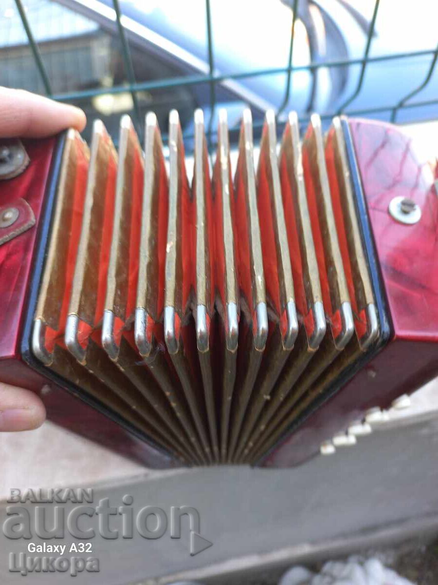 ACORDEON MIC HOHNER - 6