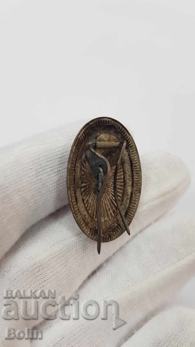 Rare military officer's cockade, insignia "KINGDOM OF SERBIA" - 5