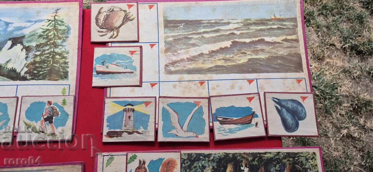 Delivery of LOTTO - SEA