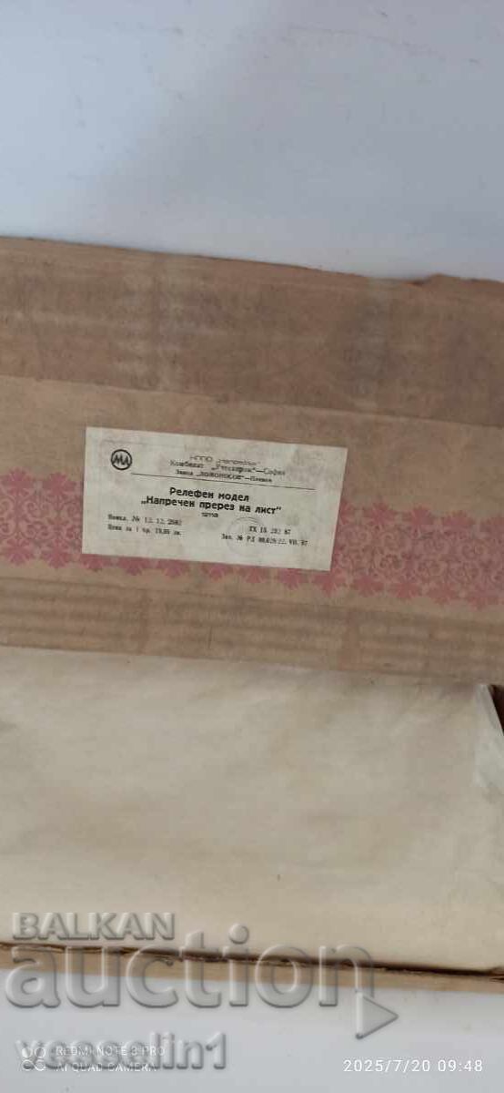 Licitație Vechi model didactic de botanică, secțiune de frunză, nou în cutie