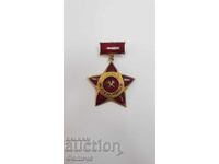 Semn comunist rar, insignă miner merituos