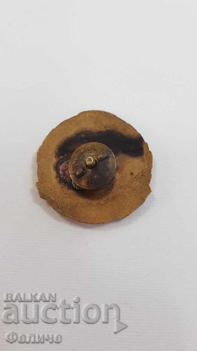 Semn rar, insignă "DONATOR DE SÂNGE DE ONOARE" CRUCEA ROȘIE cu preț 55.00 BGN | € 28.12